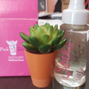 Pink Zebra Wallhug Decor & Soaks